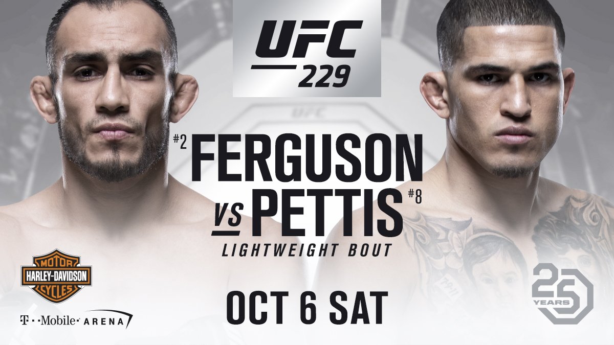 Poster/affiche UFC 229