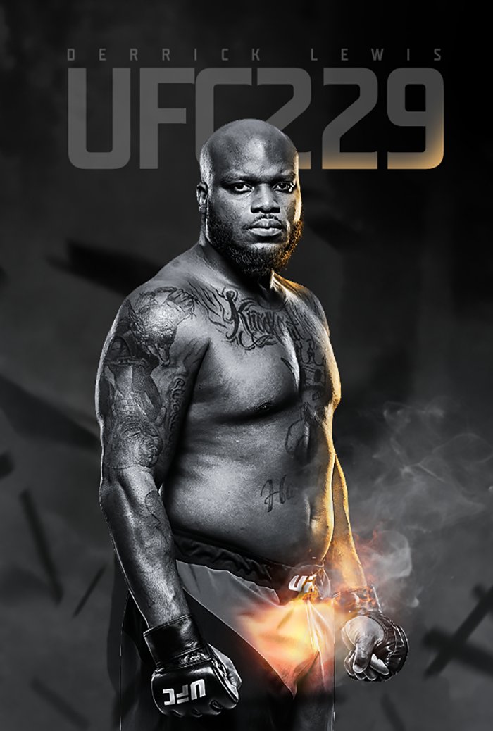 Poster des fans UFC 229