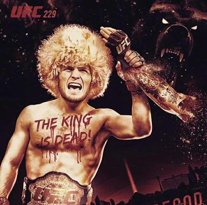 Poster des fans UFC 229