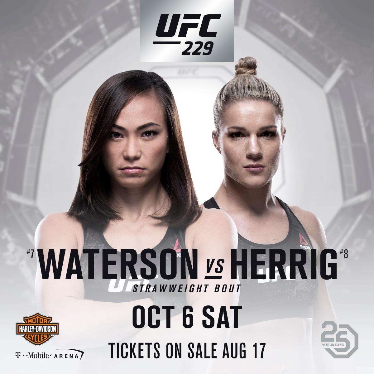 Poster/affiche UFC 229