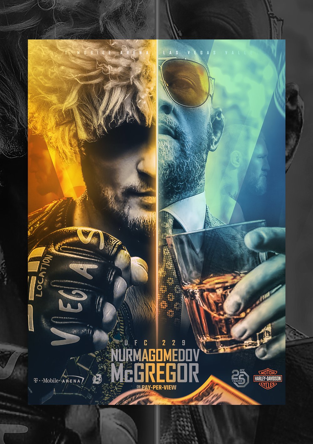 Poster des fans UFC 229