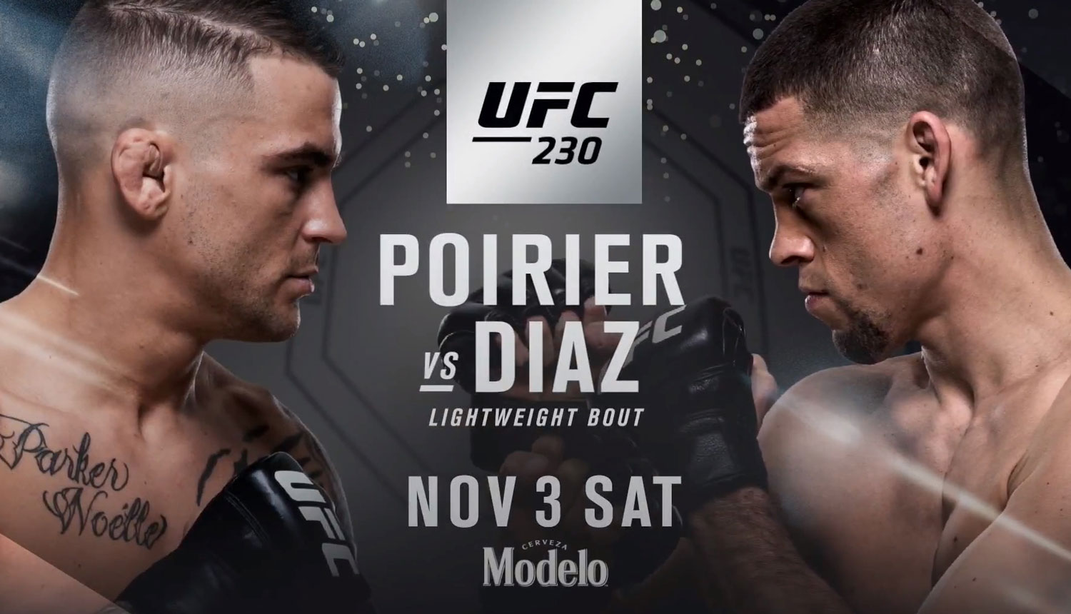 Poster/affiche UFC 230