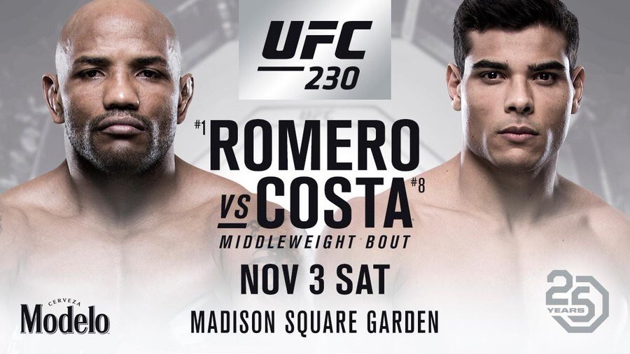 Poster/affiche UFC 230