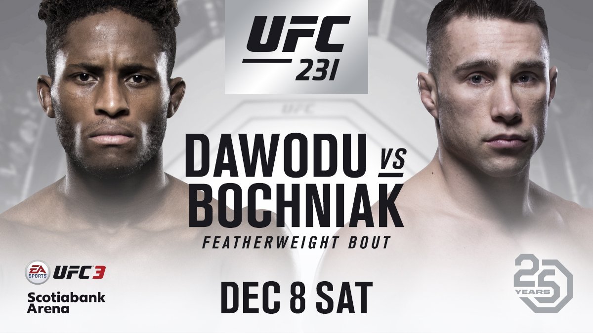 Poster/affiche UFC 231