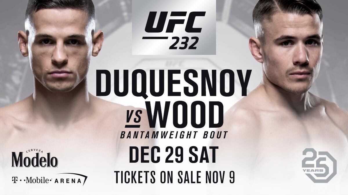 Poster/affiche UFC 232