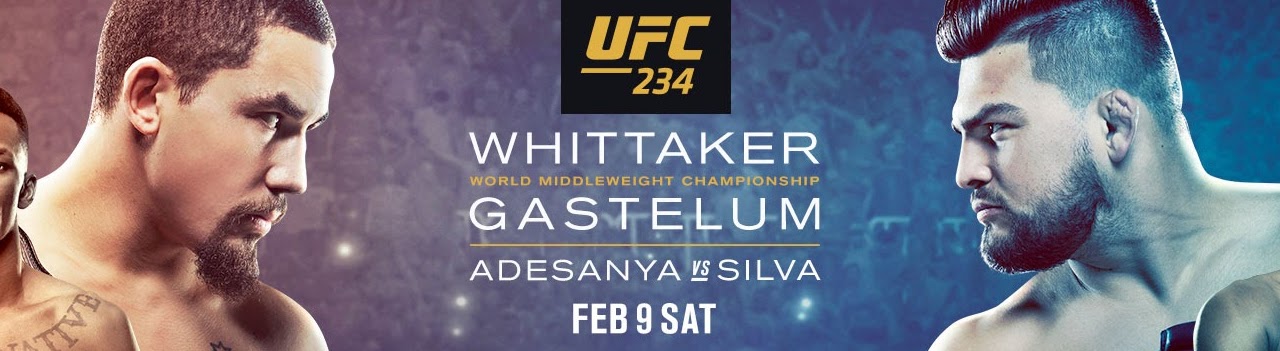 Poster/affiche UFC 234