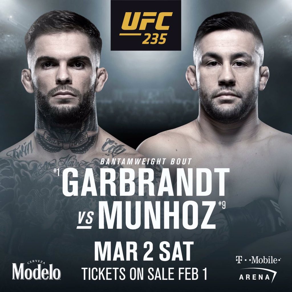 Poster/affiche UFC 235