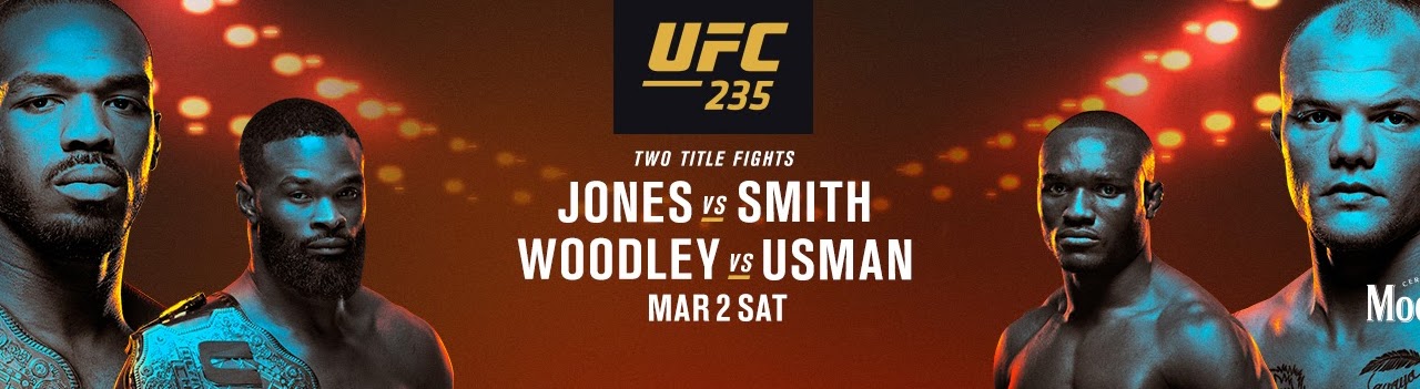 Poster/affiche UFC 235