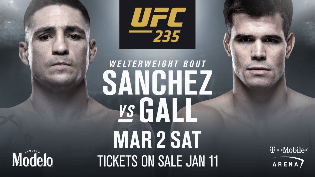 Poster/affiche UFC 235