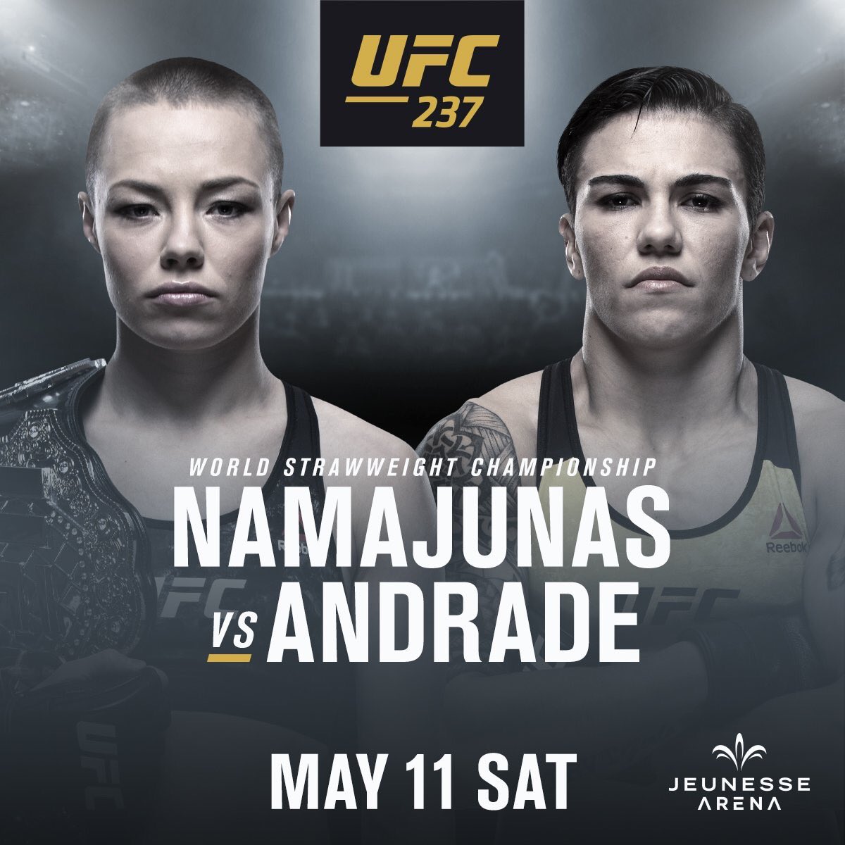 Poster/affiche UFC 237