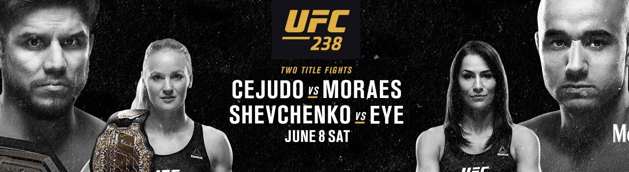 Poster/affiche UFC 238