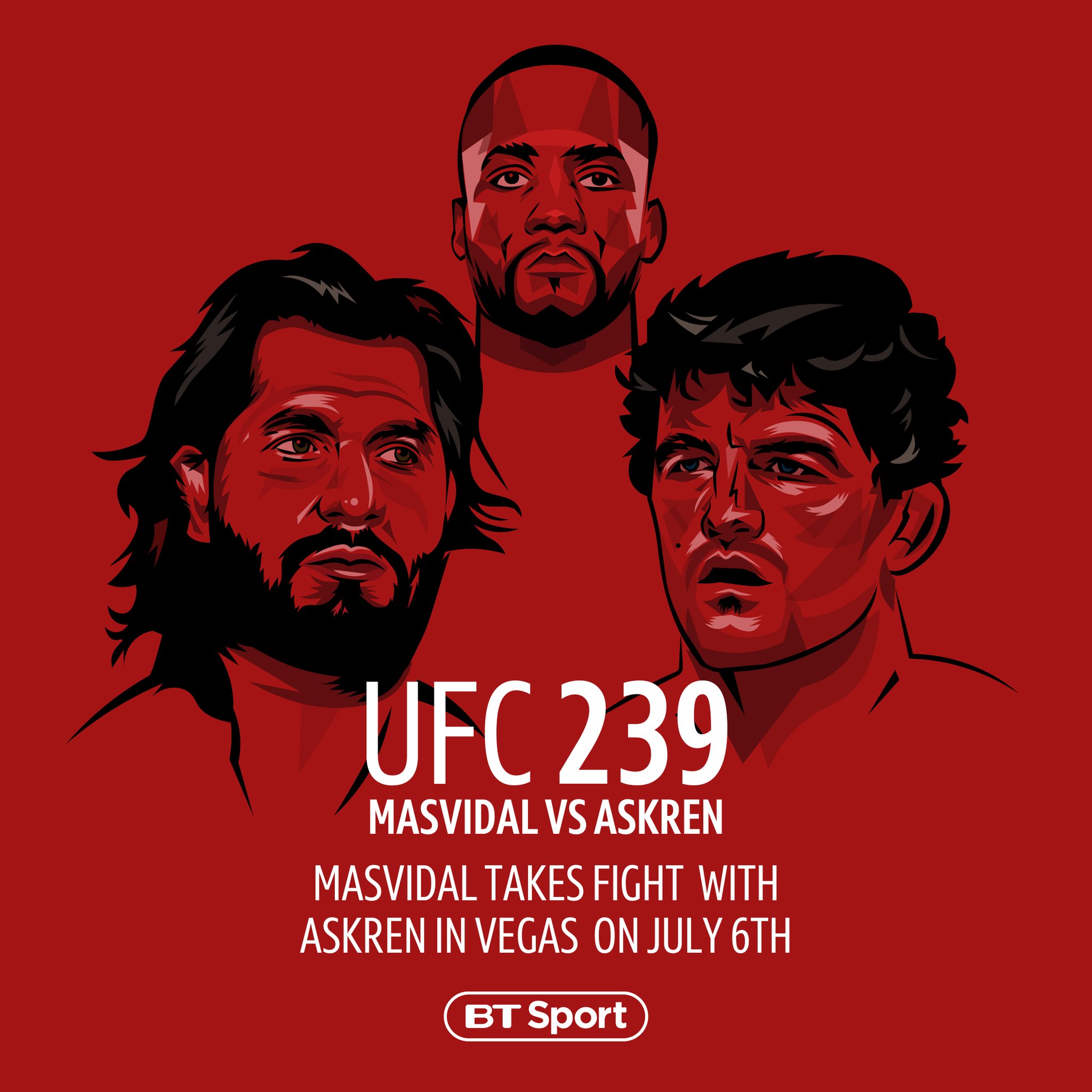 Poster/affiche UFC 239