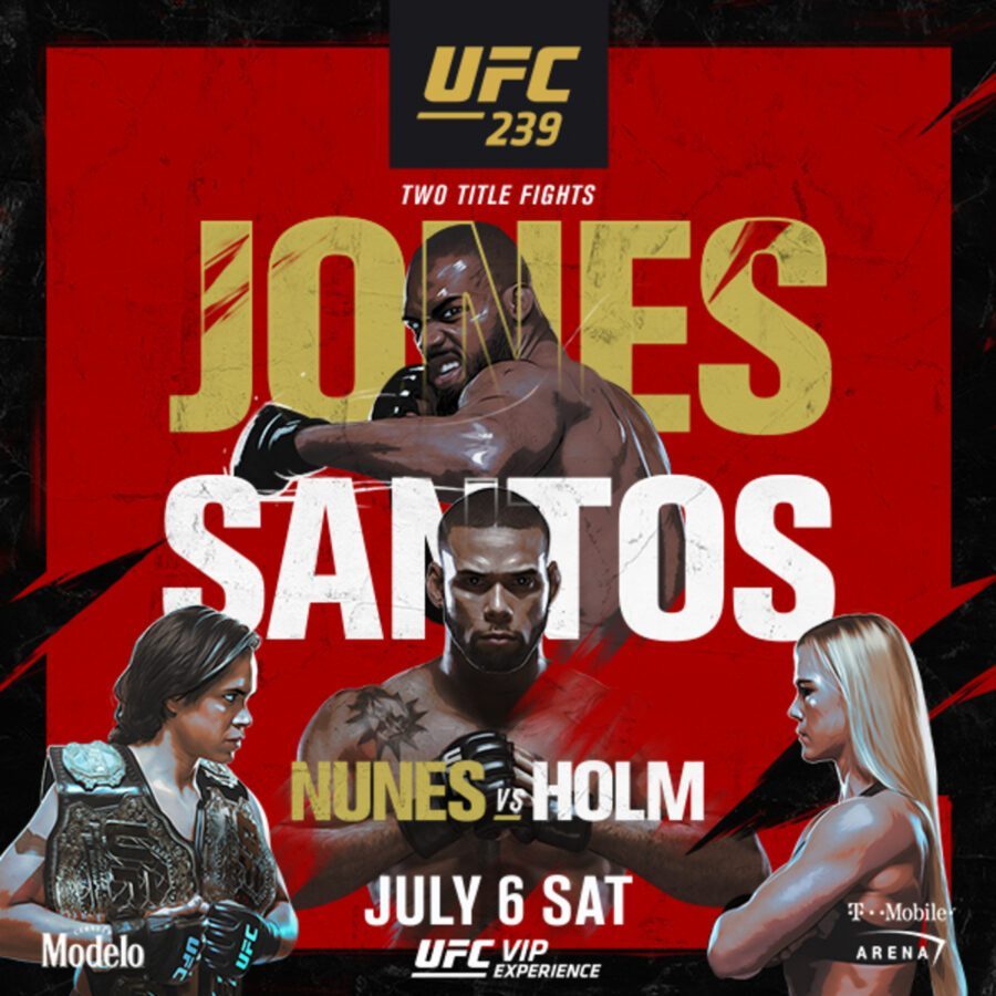 Poster/affiche UFC 239