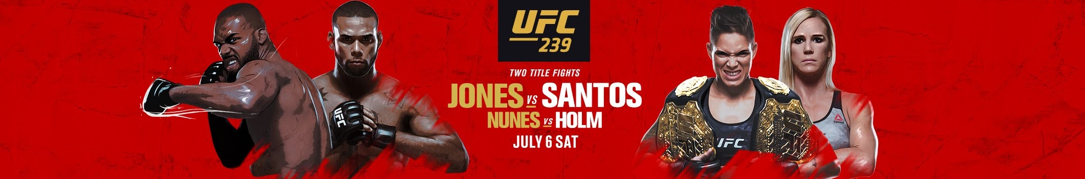 Poster/affiche UFC 239