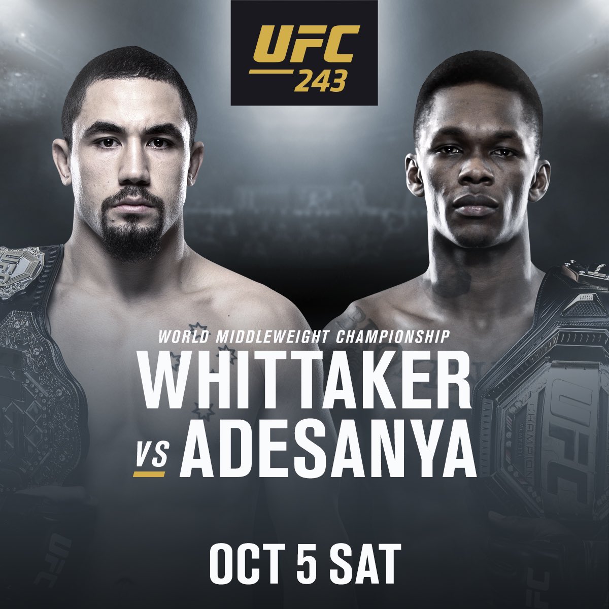 UFC 243 - Poster affiche