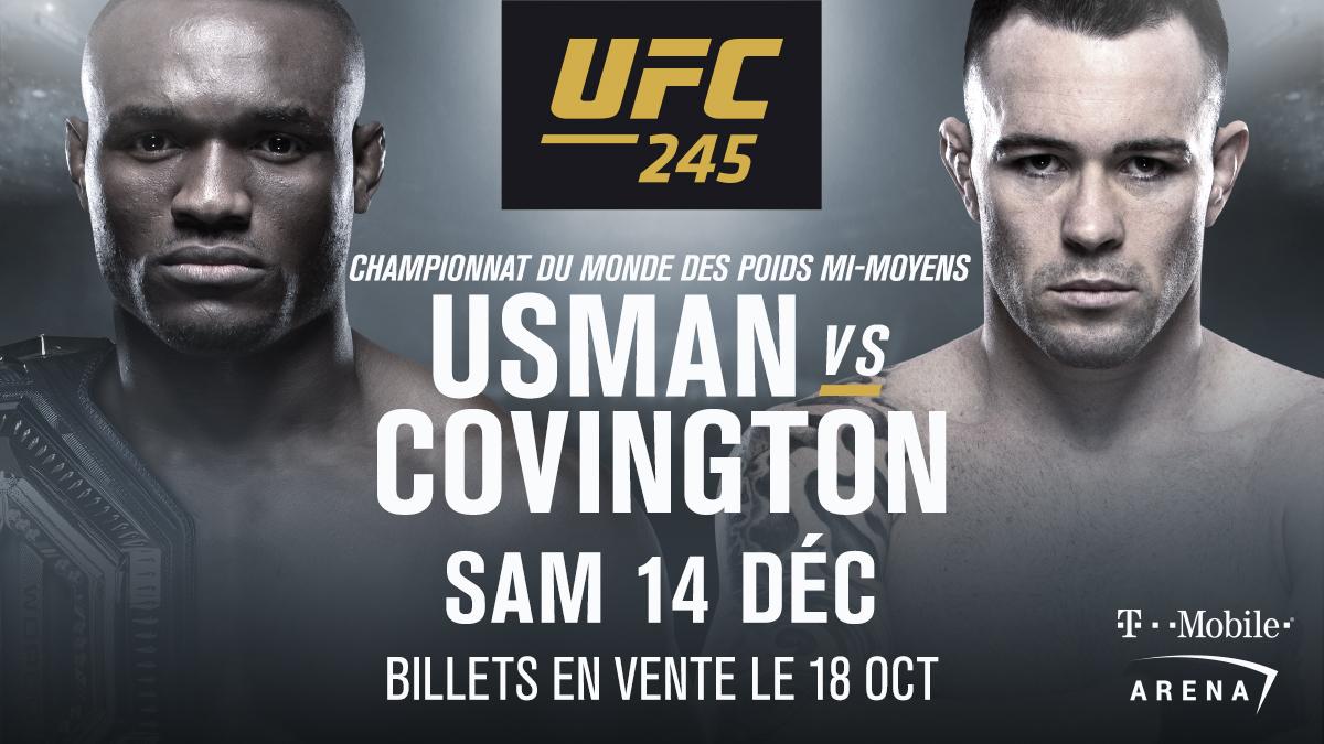 UFC 245 -  Poster affiche