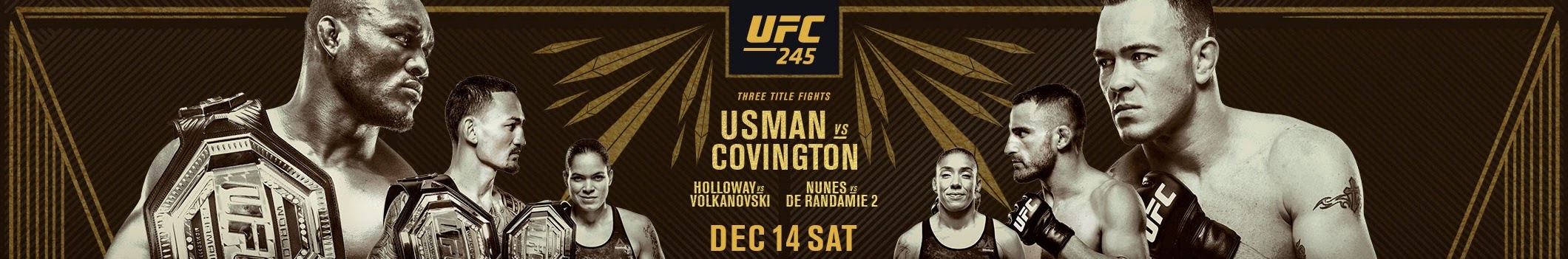 UFC 245 -  Poster affiche