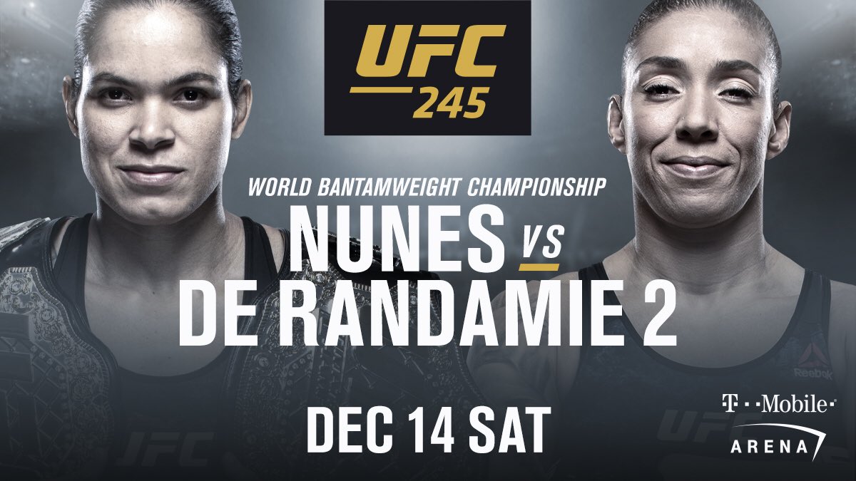 UFC 245 -  Poster affiche