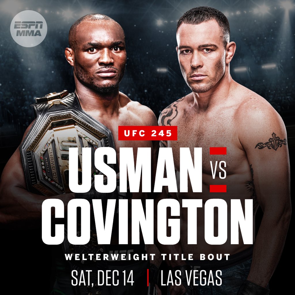 UFC 245 -  Poster affiche