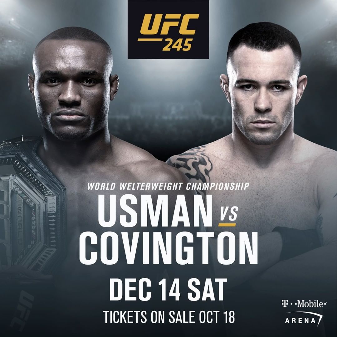 UFC 245 -  Poster affiche