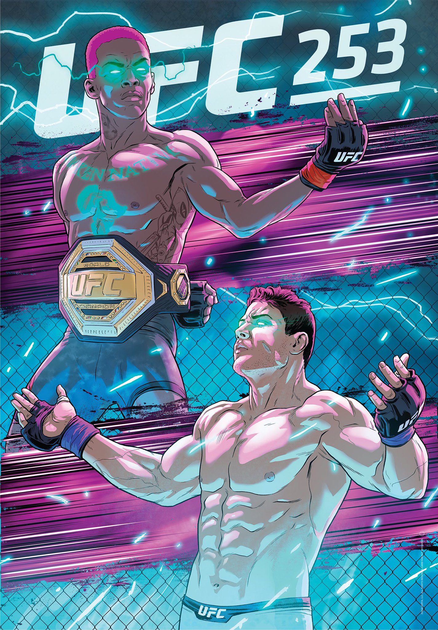 UFC 253 - Abu Dhabi  - Posters des fans