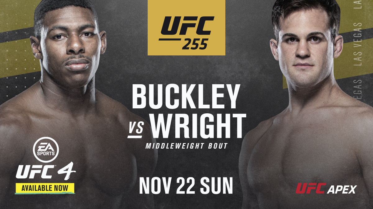 UFC 255 - Las Vegas  - Poster et affiche