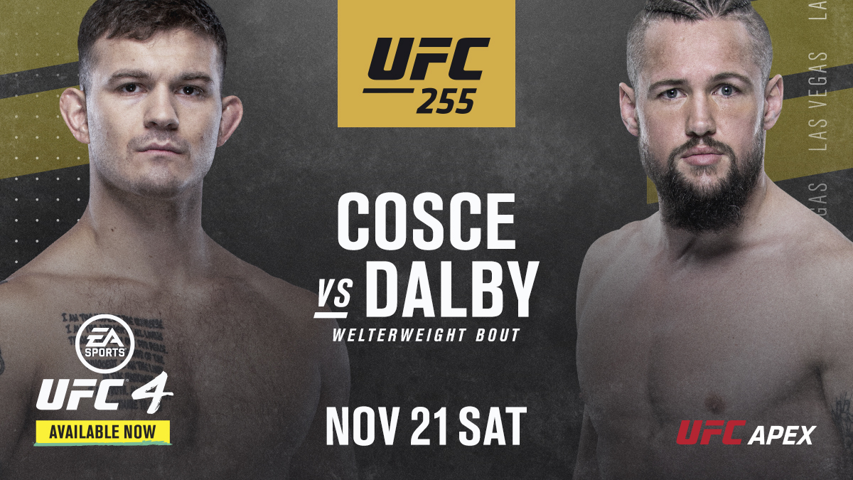 UFC 255 - Las Vegas  - Poster et affiche