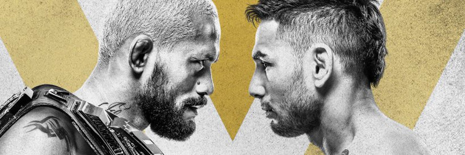 UFC 255 - Las Vegas  - Poster et affiche