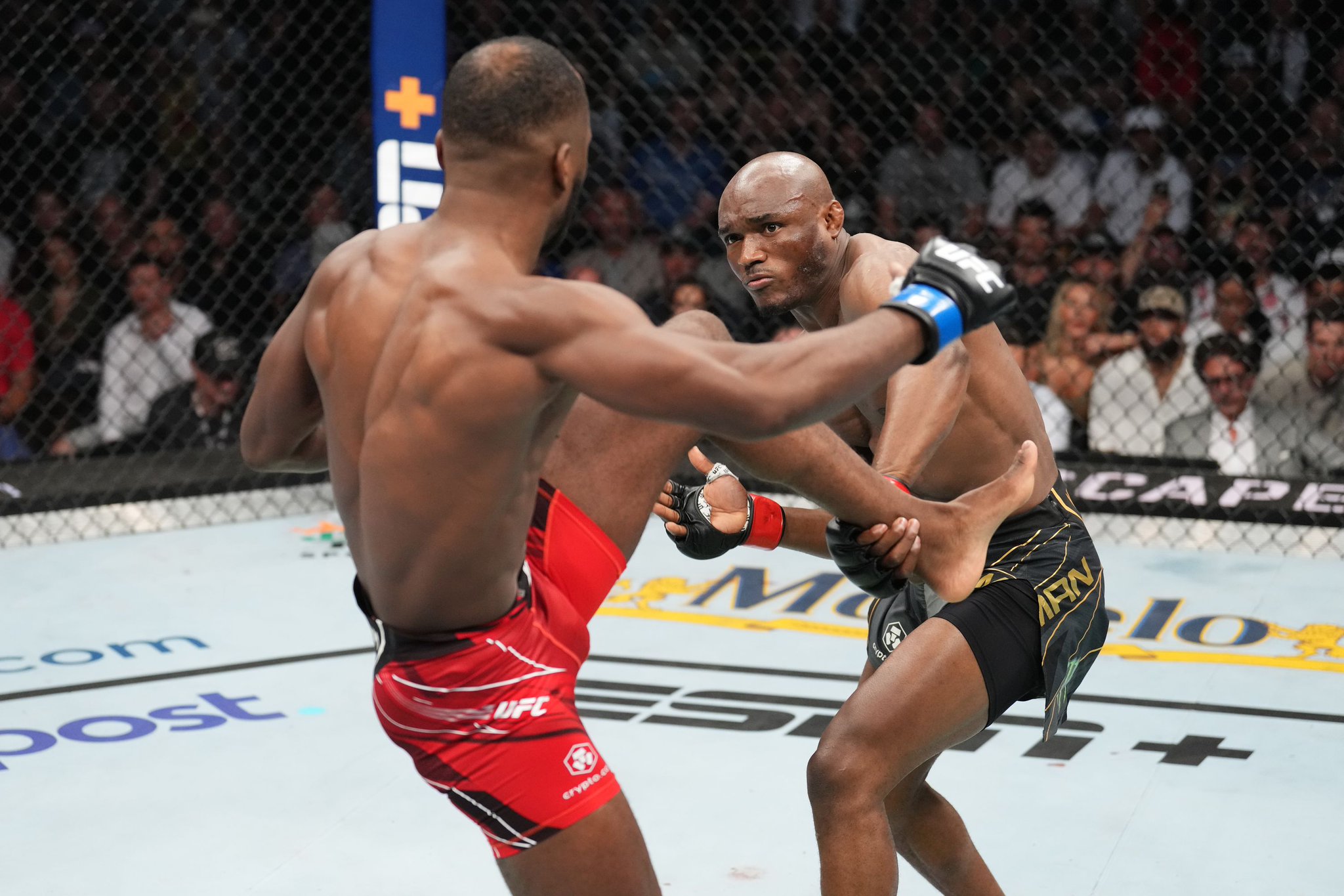 UFC 278 - Photos