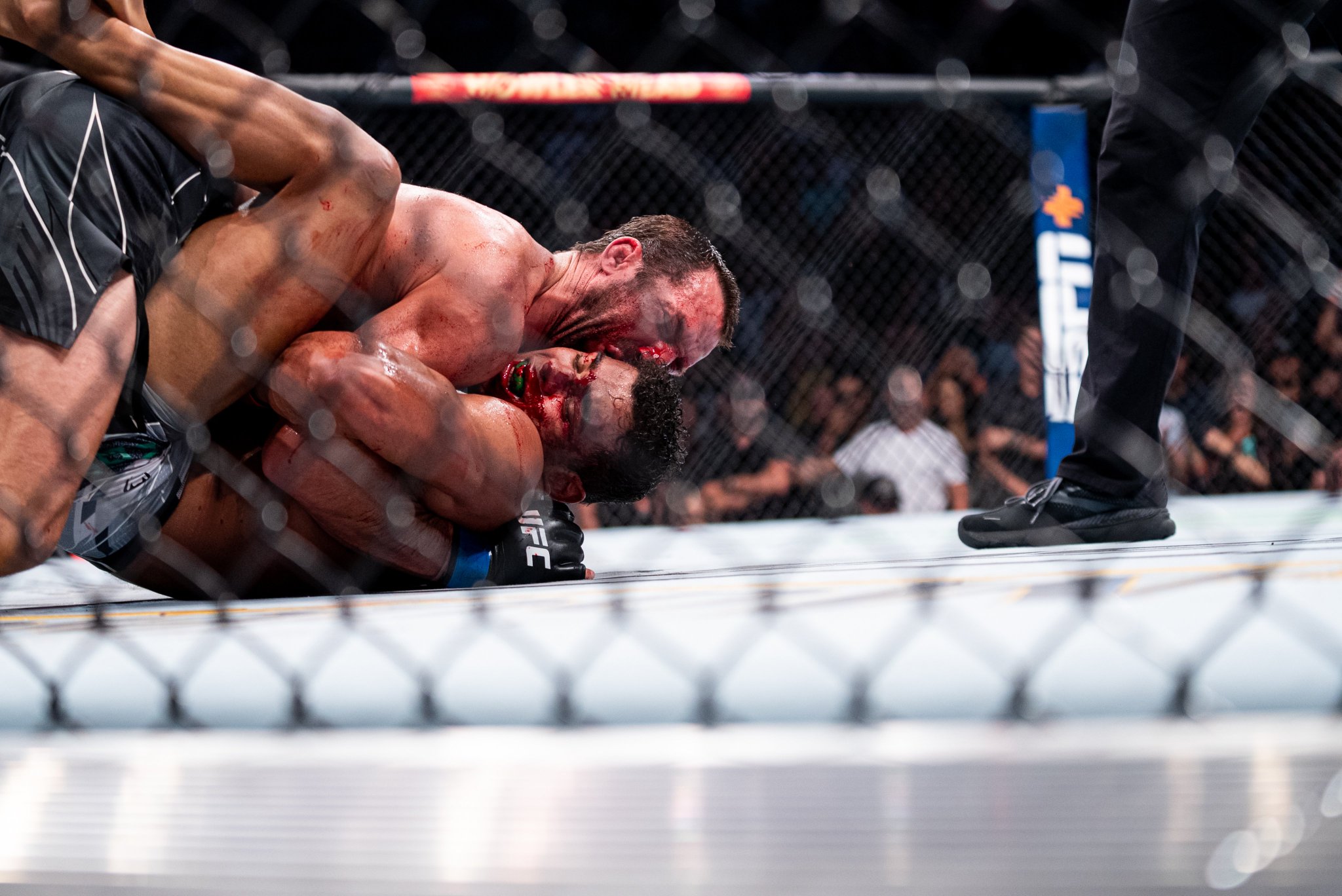 UFC 278 - Photos