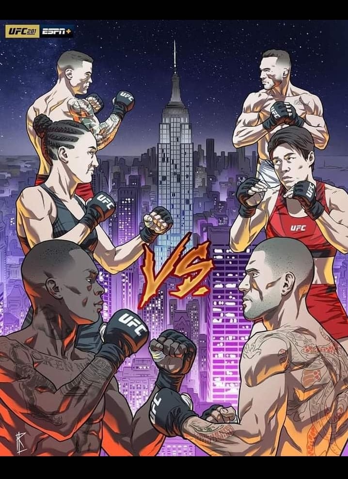 UFC 281 - New York City - Poster et affiche