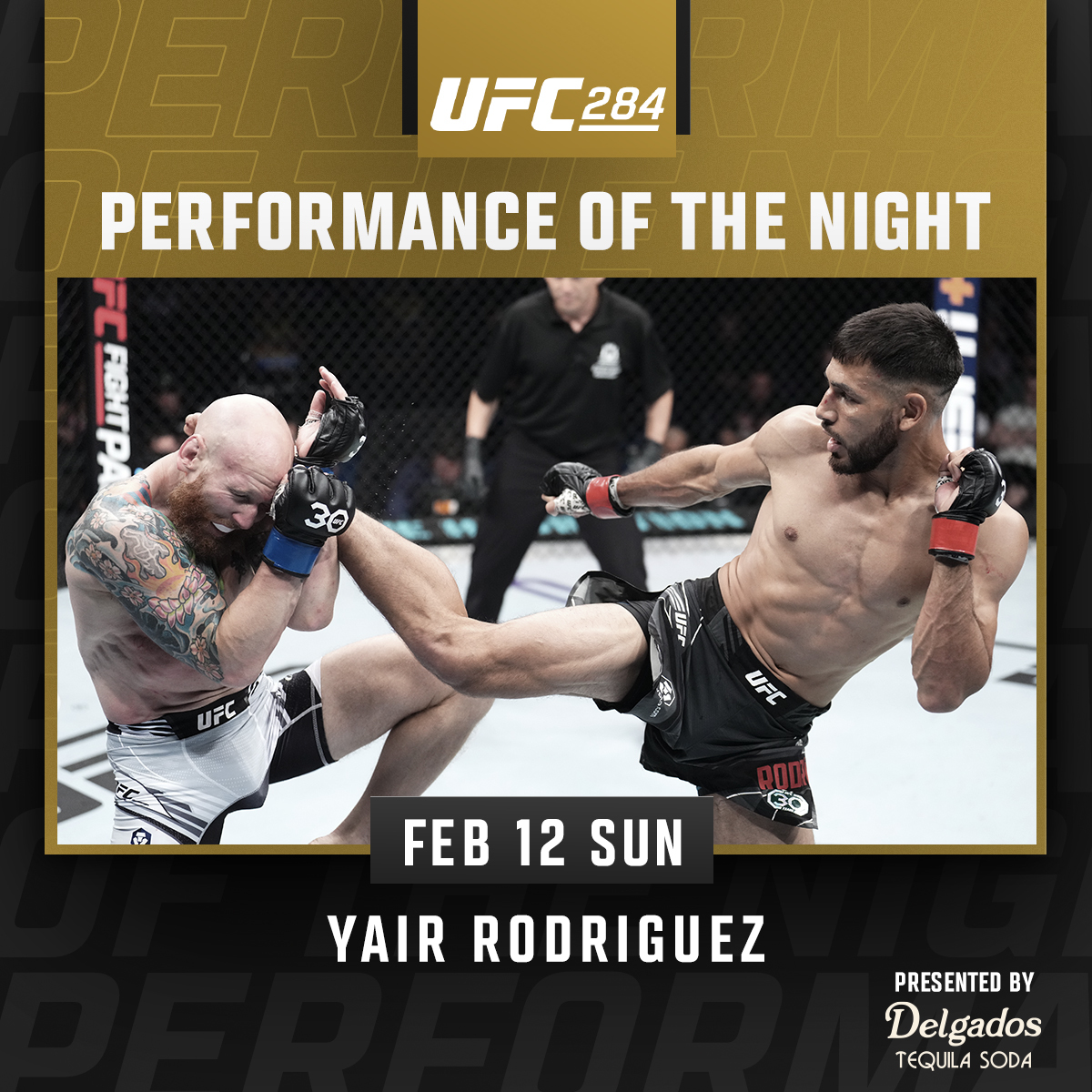 UFC 284 - Bonus