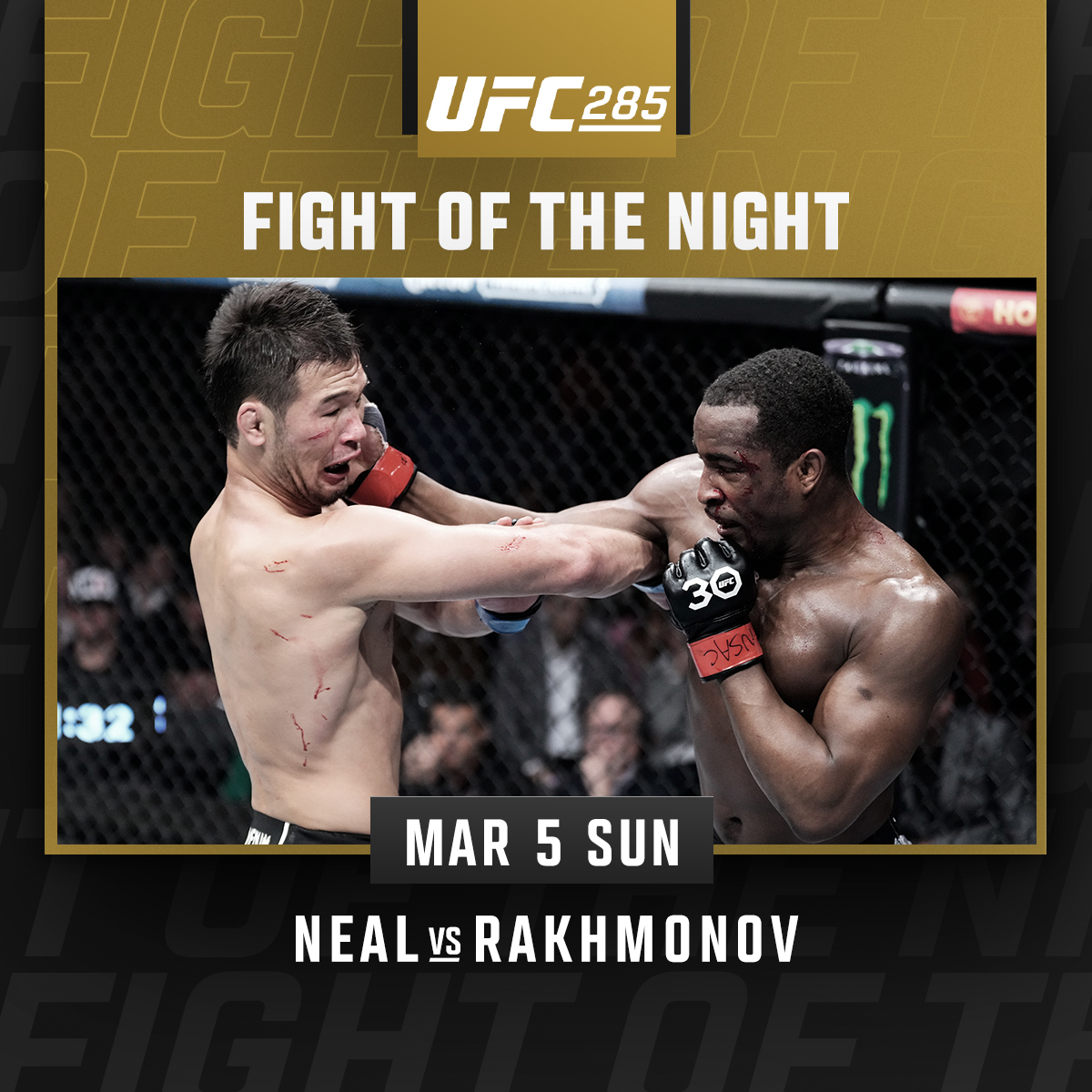 UFC 285 - Shavkat Rakhmonov vs Geoff Neal