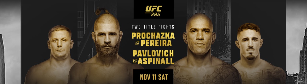 UFC 295 - New York City - Poster et affiche