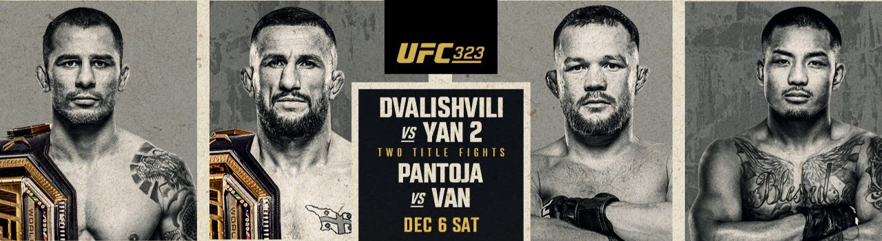 UFC 323 - Las Vegas - Poster et affiche